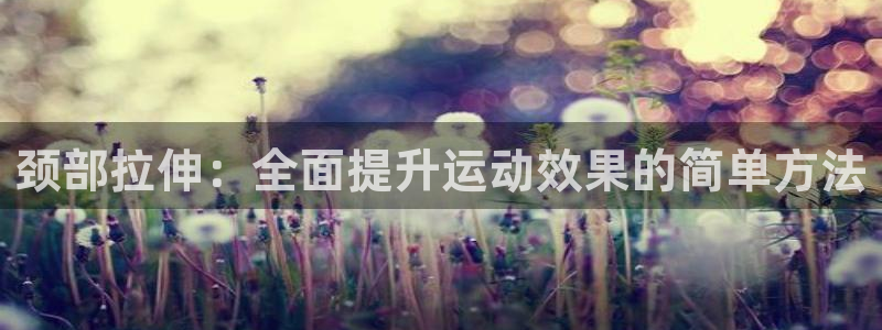 球速体育：颈部拉伸：全面提升运动效果的简单方法