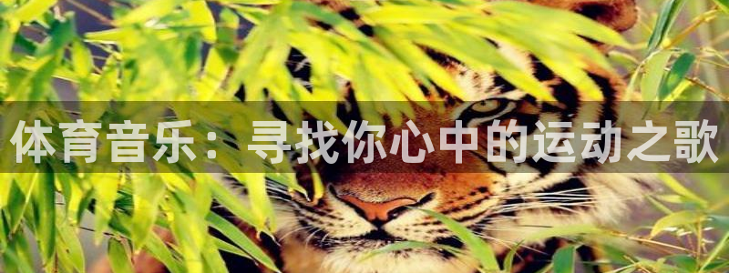 球速体育：体育音乐：寻找你心中的运动之歌
