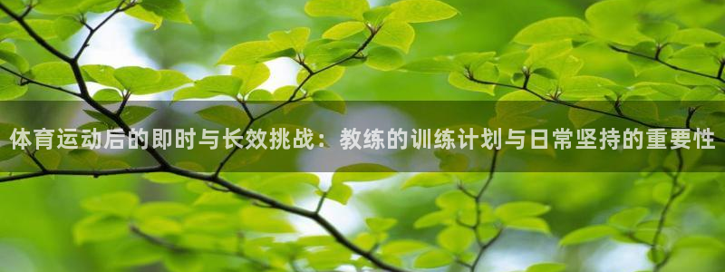 球速体育：体育运动后的即时与长效挑战：教练的训练计划与日常坚持的重要性