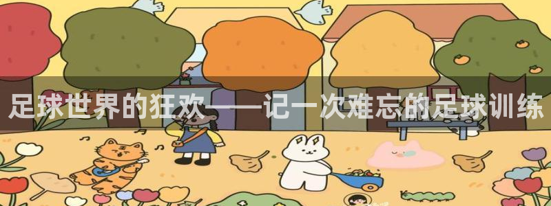 球速体育：足球世界的狂欢——记一次难忘的足球训练