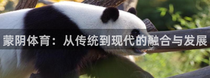 球速体育：蒙阴体育：从传统到现代的融合与发展