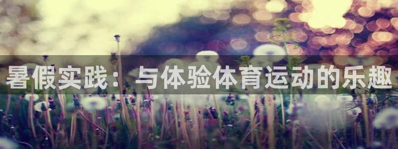 球速体育：暑假实践：与体验体育运动的乐趣