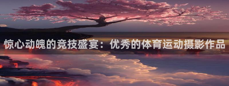 球速体育：惊心动魄的竞技盛宴：优秀的体育运动摄影作品