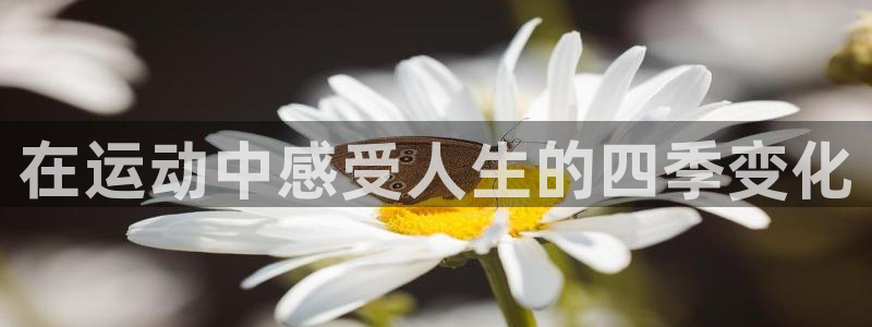 球速体育：在运动中感受人生的四季变化