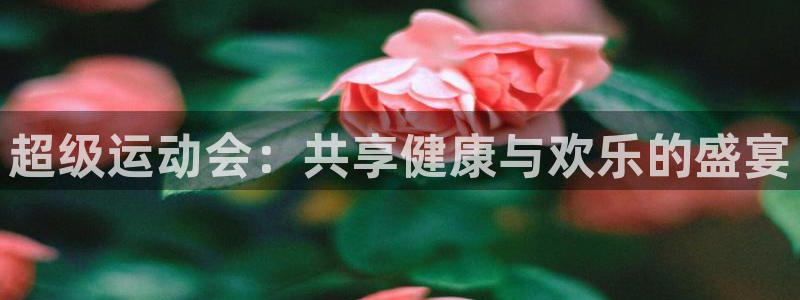 球速体育：超级运动会：共享健康与欢乐的盛宴