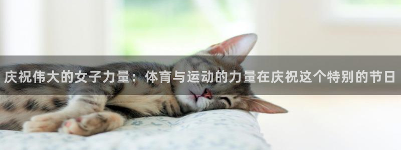 球速体育：庆祝伟大的女子力量：体育与运动的力量在庆祝这个特别的节日