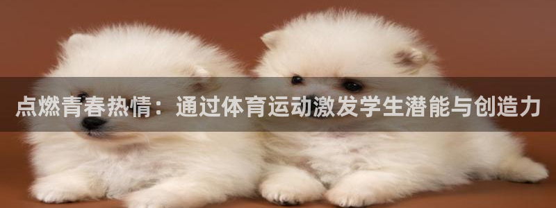 球速体育：点燃青春热情：通过体育运动激发学生潜能与创造力