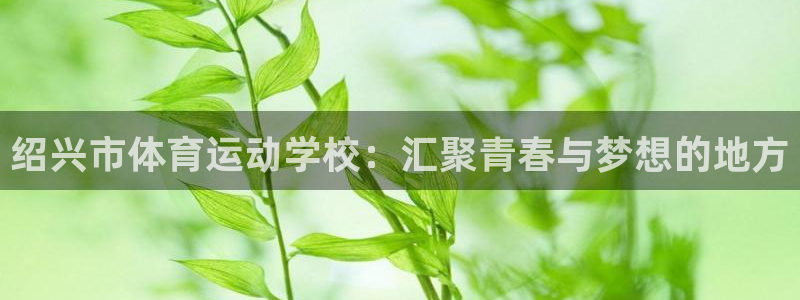 球速体育：绍兴市体育运动学校：汇聚青春与梦想的地方