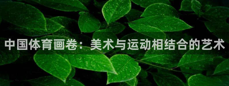 球速体育：中国体育画卷：美术与运动相结合的艺术