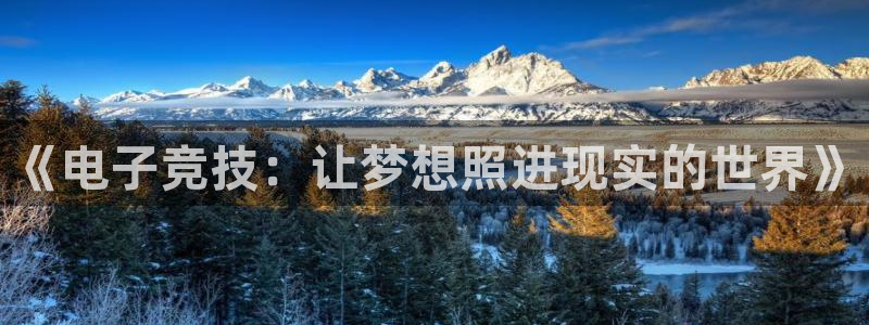 球速体育：《电子竞技：让梦想照进现实的世界》